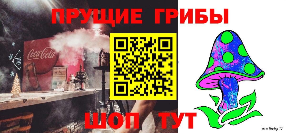 Псилоцибиновые грибы Cubensis  Вход с VPN  Семилуки 