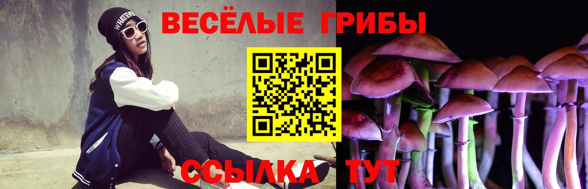 Галлюциногенные грибы Psilocybe Семилуки